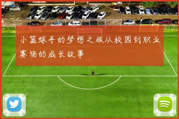 小篮球手的梦想之旅从校园到职业赛场的成长故事
