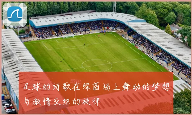 足球的诗歌在绿茵场上舞动的梦想与激情交织的旋律